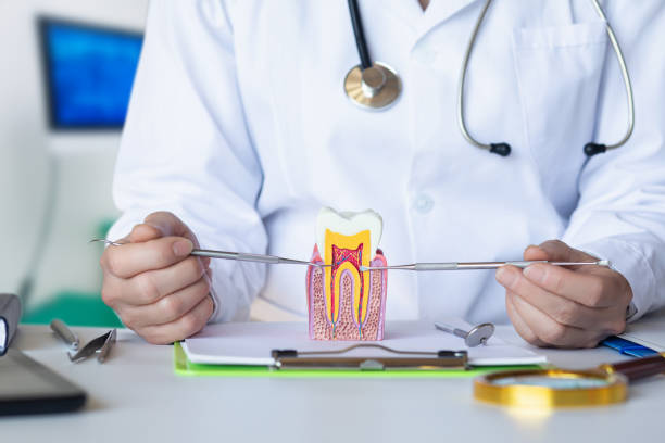 Best Walk-In Emergency Dental Services in Mount Airy, GA